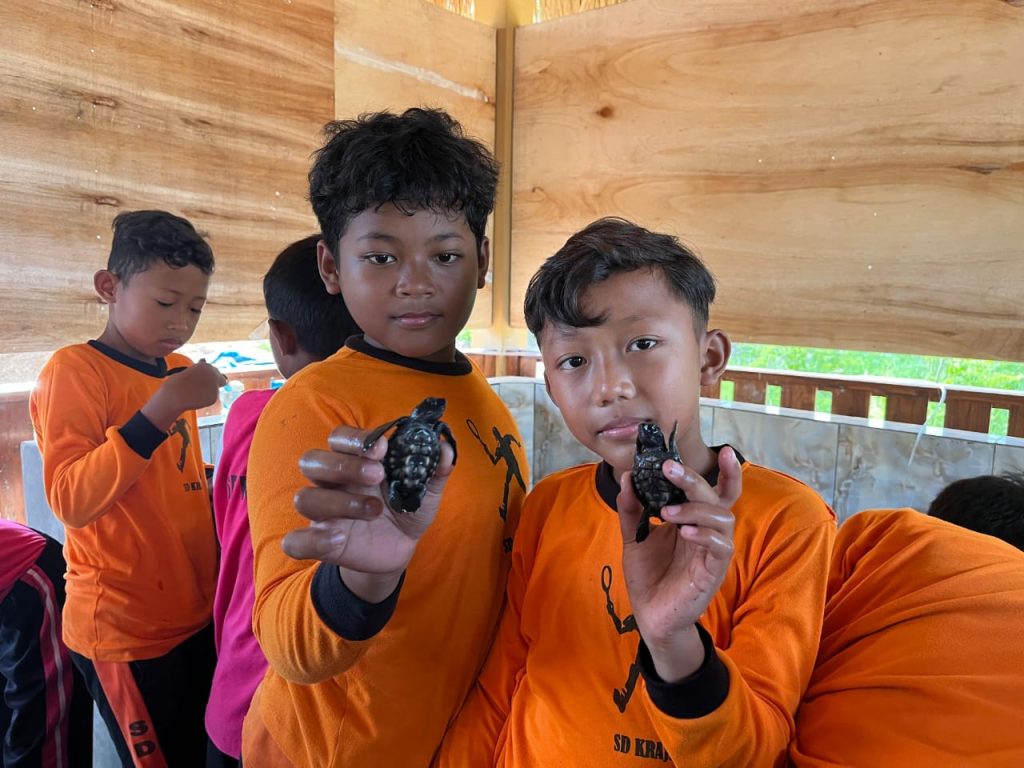 Pelepasan Penyu